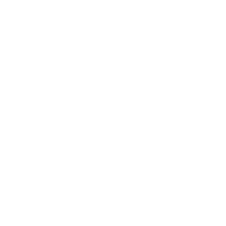 調査のアイコン